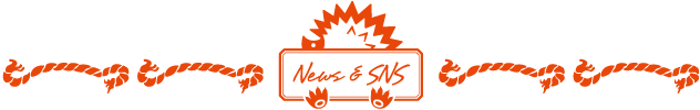 News&SNS
